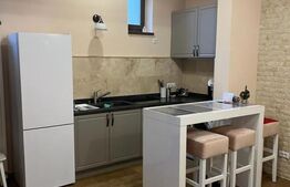 Apartament sau spatiu de birou, 60 mp utili, Vasile Alecsandri