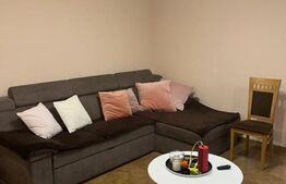 Apartament sau spatiu de birou, 60 mp utili, Vasile Alecsandri