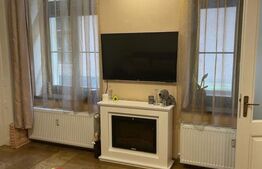 Apartament sau spatiu de birou, 60 mp utili, Vasile Alecsandri