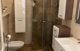 Apartament sau spatiu de birou, 60 mp utili, Vasile Alecsandri