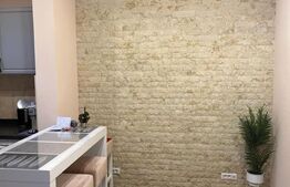 Apartament sau spatiu de birou, 60 mp utili, Vasile Alecsandri