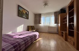 Apartament cu o camera, 21 mp, zona Rogerius