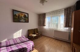 Apartament cu o camera, 21 mp, zona Rogerius