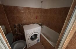 Apartament cu o camera, 21 mp, zona Rogerius