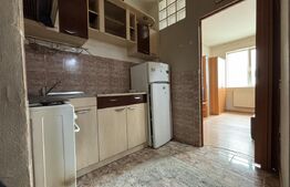 Garsoniera de vanzare, 20 mp, zona Dacia