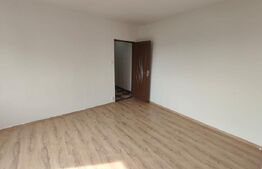 Apartament cu 2 camere 