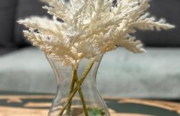 Apartament decomandat, cu 2 camere, Bulevardul Dacia, zona Profi