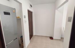 Apartamet de vanzare, cu 2 camere, 45 mp, zona Rogerius, pe strada Aluminei 