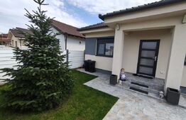 De vanzare casa la intrare in Santandrei sau schimb cu apartament cu 3  camere 