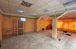 Casa de vanzare in Biharia