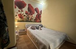 Apartament ultracentral, 90 mp, zona Vasile Alecsandri