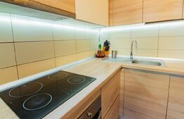 Studio de inchiriat, 60 mp, zona Centrul Vechi, Oradea