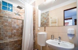 Studio de inchiriat, 60 mp, zona Centrul Vechi, Oradea