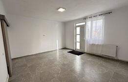 Apartament cu o cameră, 40 mp, central, renovat, Oradea