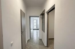 Apartament cu o cameră, 40 mp, central, renovat, Oradea