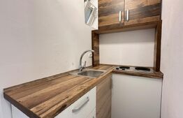 Apartament cu o cameră, 40 mp, central, renovat, Oradea