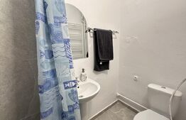 Apartament cu o cameră, 40 mp, central, renovat, Oradea