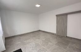 Apartament cu o cameră, 40 mp, central, renovat, Oradea