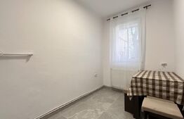 Apartament cu o cameră, 40 mp, central, renovat, Oradea