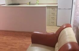 Apartament Ultracentral.100 mp
