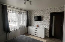 Apartament spatios, cu 3 camere, zona Sovata, priveliste spre Cris