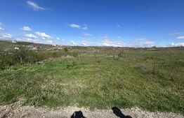 Teren intravilan de vanzare, 1153 mp, zona Iorga