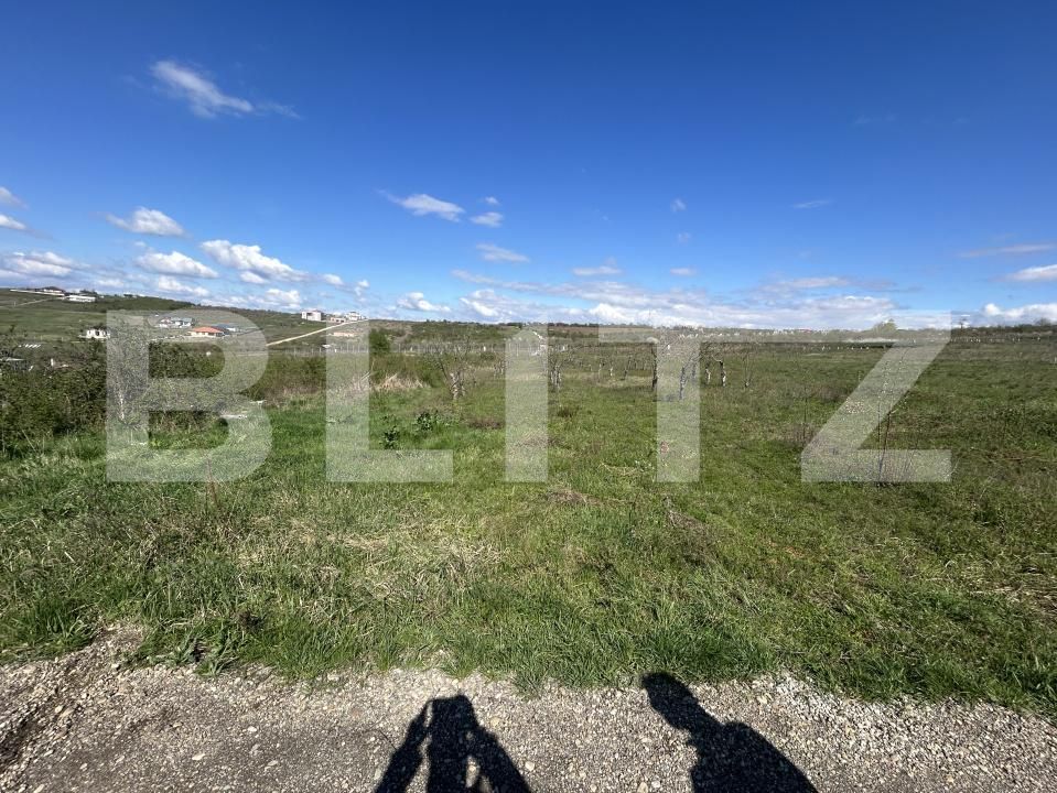 Teren de vânzare Dealuri Oradea - 169604TV | BLITZ Oradea | Poza1