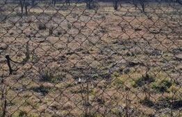 Teren intravilan de vanzare, 860 mp, cu toate utilitatile, zona Podgoria