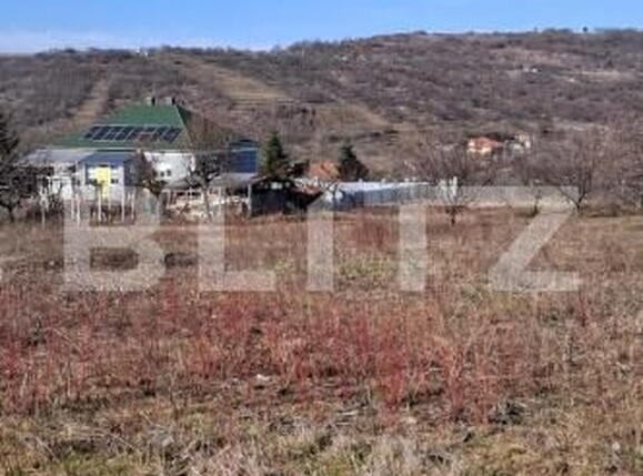 Teren de vânzare Podgoria - 170150TV | BLITZ Oradea | Poza4