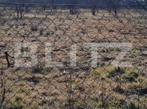 Teren de vânzare Podgoria - 170150TV | BLITZ Oradea | Poza5