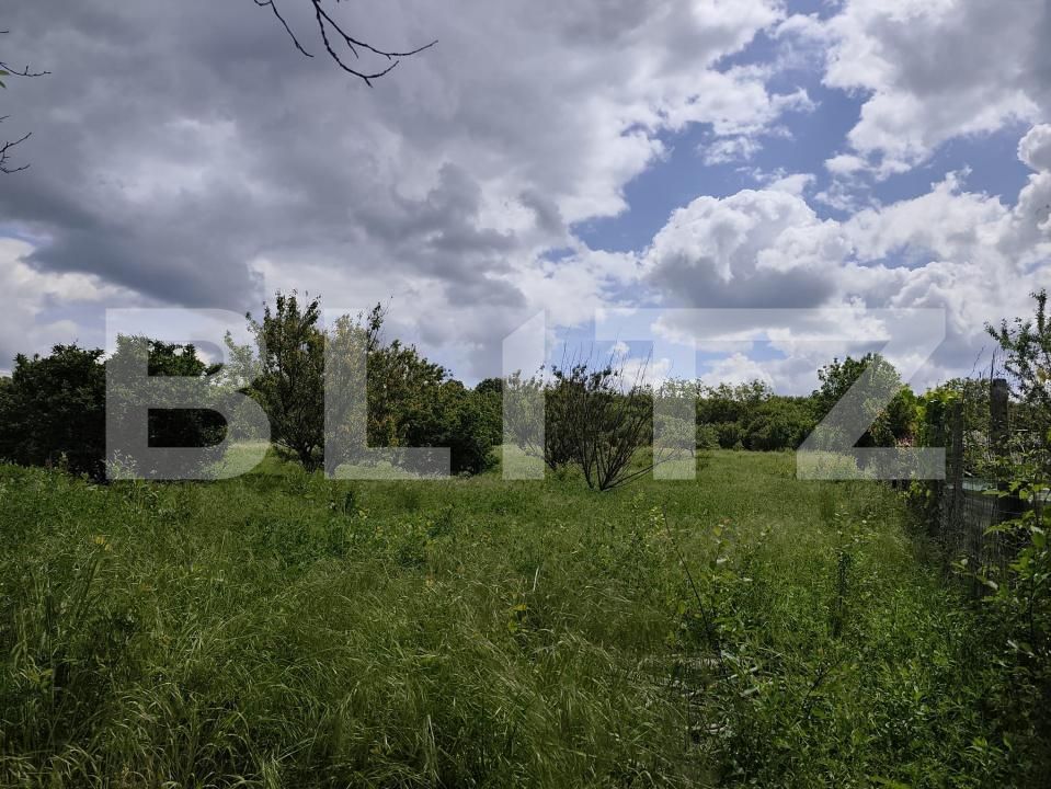 Teren de vânzare Podgoria - 170150TV | BLITZ Oradea | Poza9