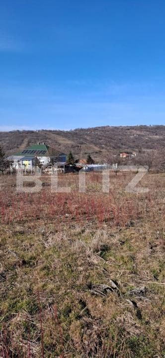 Teren de vânzare Podgoria - 170150TV | BLITZ Oradea | Poza4