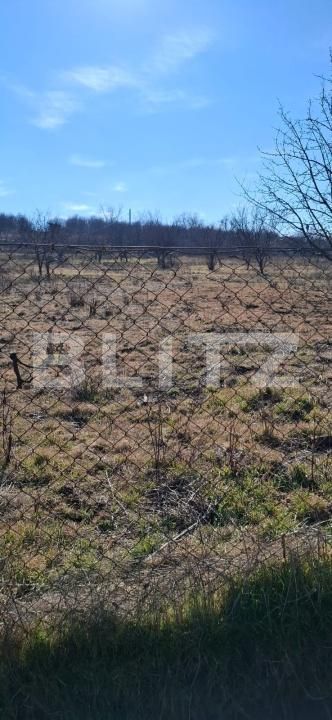 Teren de vânzare Podgoria - 170150TV | BLITZ Oradea | Poza5