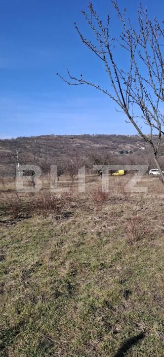 Teren de vânzare Podgoria - 170150TV | BLITZ Oradea | Poza1