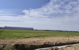 Teren intravilan de vanzare, 10.000 mp, zona industriala, Oradea 