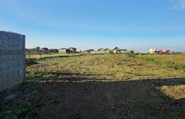 Teren intravilan cu constructie din caramida in Cheriu langa inelul metropolitan