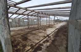 Teren intravilan cu constructie din caramida in Cheriu langa inelul metropolitan