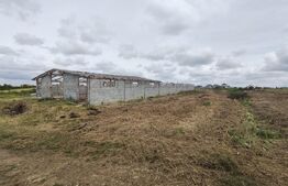 Teren intravilan cu constructie din caramida in Cheriu langa inelul metropolitan