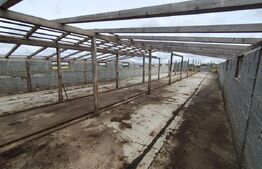 Teren intravilan cu constructie din caramida in Cheriu langa inelul metropolitan