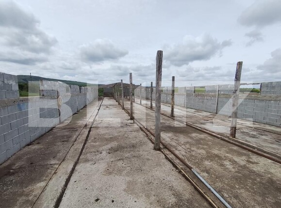 Teren de vânzare Cheriu - 171049TV | BLITZ Oradea | Poza10