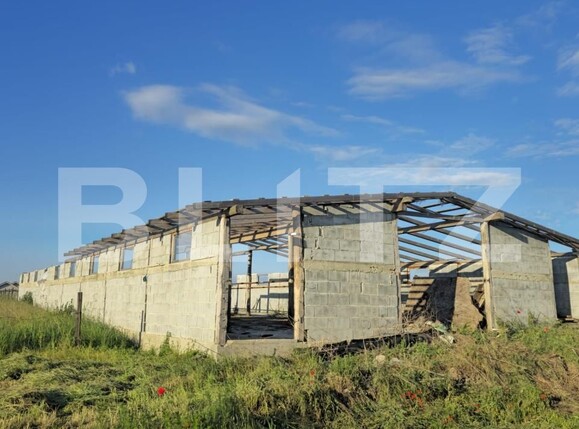 Teren de vânzare Cheriu - 171049TV | BLITZ Oradea | Poza2