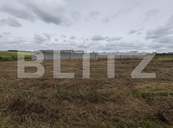 Teren de vânzare Cheriu - 171049TV | BLITZ Oradea | Poza11