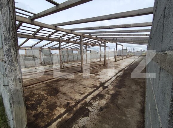 Teren de vânzare Cheriu - 171049TV | BLITZ Oradea | Poza9