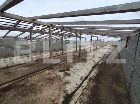 Teren de vânzare Cheriu - 171049TV | BLITZ Oradea | Poza8