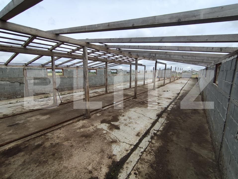 Teren de vânzare Cheriu - 171049TV | BLITZ Oradea | Poza8