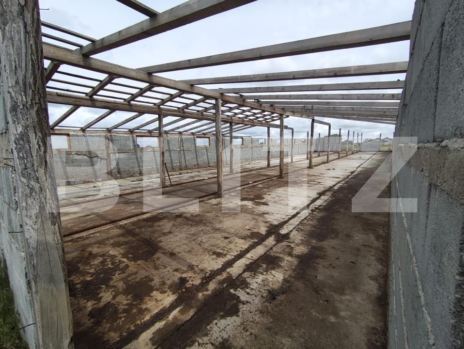 Teren de vânzare Cheriu - 171049TV | BLITZ Oradea | Poza9