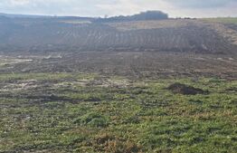 Teren intravilan in Cheriu foarte aproape de inelul metropolitan