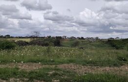 Teren intravilan in Cheriu foarte aproape de inelul metropolitan