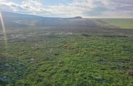 Teren intravilan in Cheriu foarte aproape de inelul metropolitan