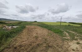 Teren intravilan in Cheriu foarte aproape de inelul metropolitan